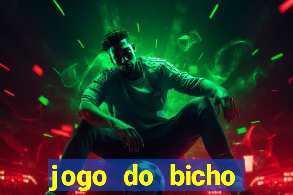 jogo do bicho crash bingo